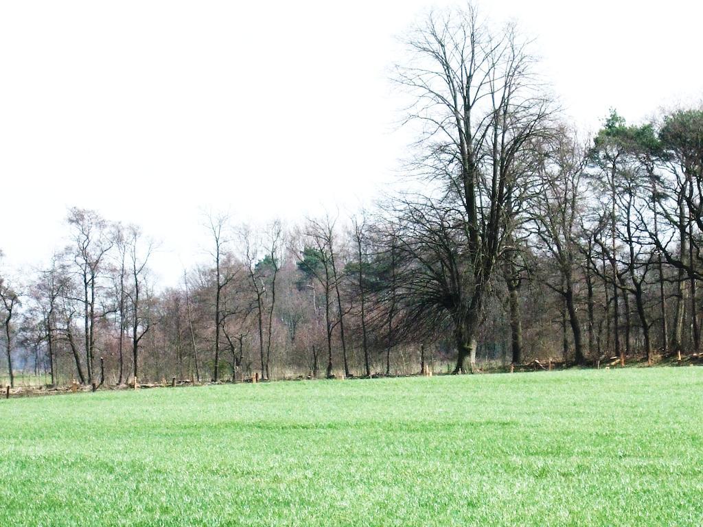 Landgoed De Lavei Bed and Breakfast Weleveld Esterno foto